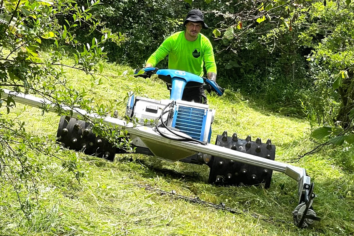 Landschaftspflegemaßnahme im Arten- und Biotopschutz