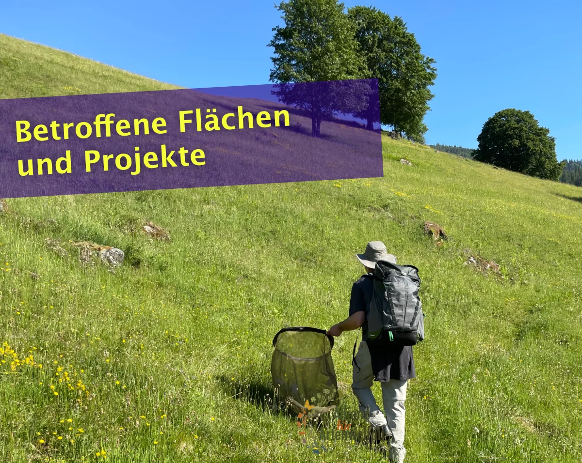 Dokumentierte Auswirkungen der Kürzungen im Arten- und Biotopschutz